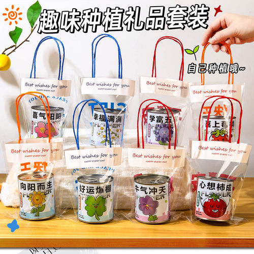幼儿园毕业礼物盲盒种植小盆栽