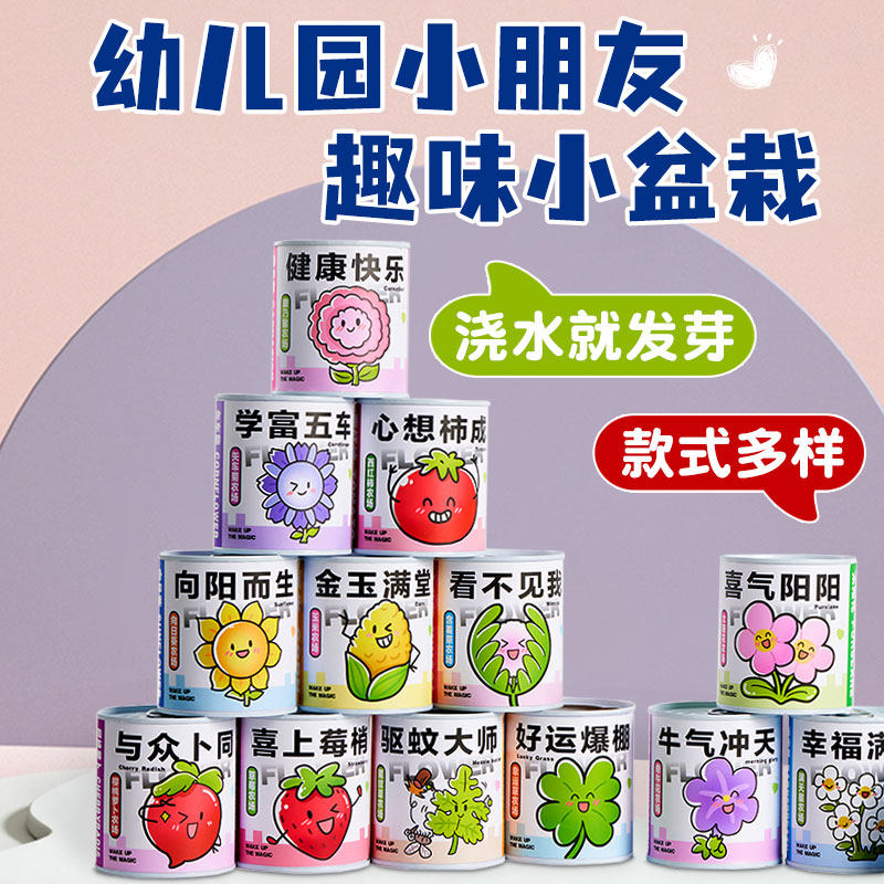 小学生一年级种植盆栽大礼包桌面植物盲盒幼儿园创意生日礼物定制
