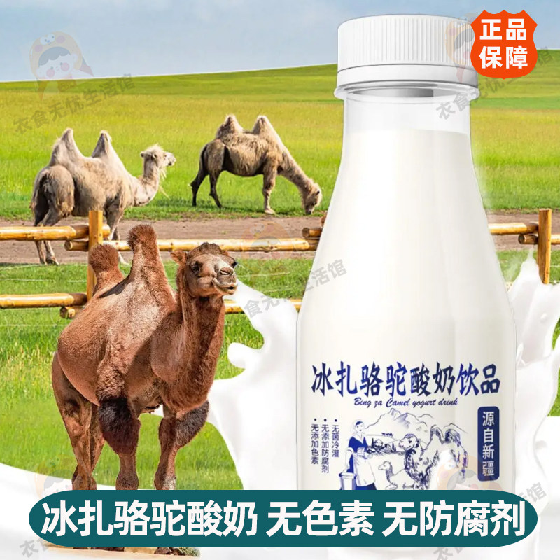 冰扎骆驼酸奶饮品330克6瓶来自新疆沙漠无添加防腐剂精美礼盒包装