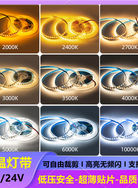色温LED灯带条12V24V8毫米5mm2400K2700K3000K3500K4000K5000K600