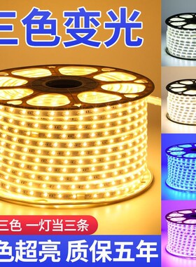 超亮高压灯带led三色变光2835-120灯220v防水暖加白加蓝色光灯条