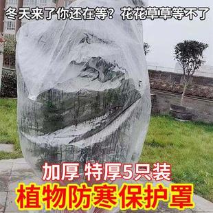 绿植越冬塑料保护罩花卉园林盆栽保温厚薄膜袋加厚防风防寒保暖罩