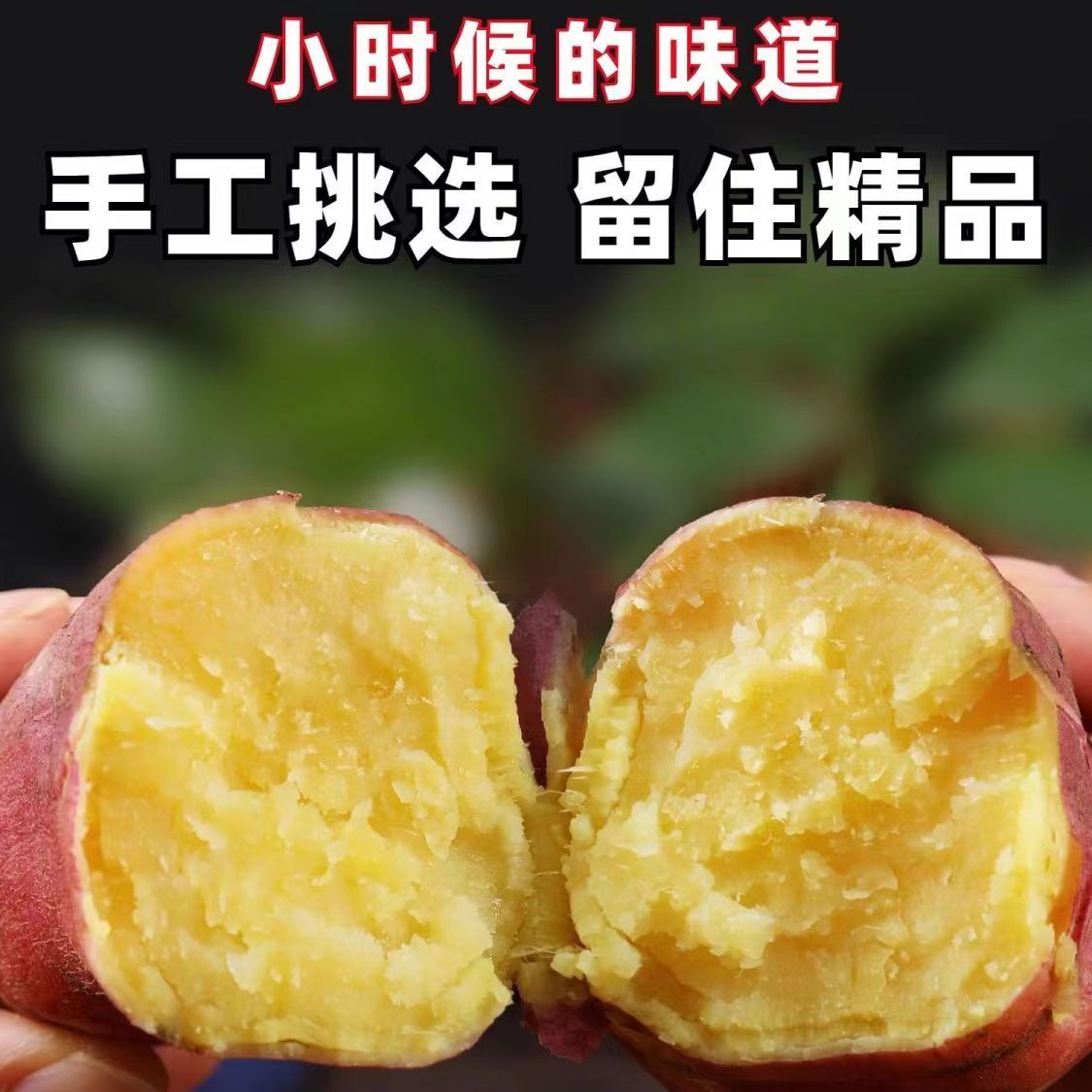 粉面香甜陕西板栗红薯图片
