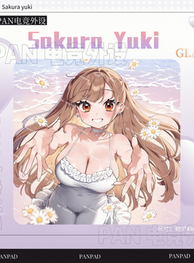 PANPAD电竞钢化玻璃鼠标垫打瓦顺滑无畏契约WALLHACK同款鼠标垫