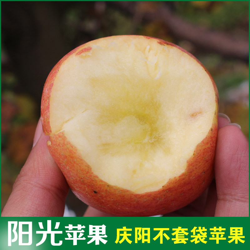 庆阳苹果有机水果不套袋阳光果小苹果冰糖心光照充足脆甜24枚礼盒