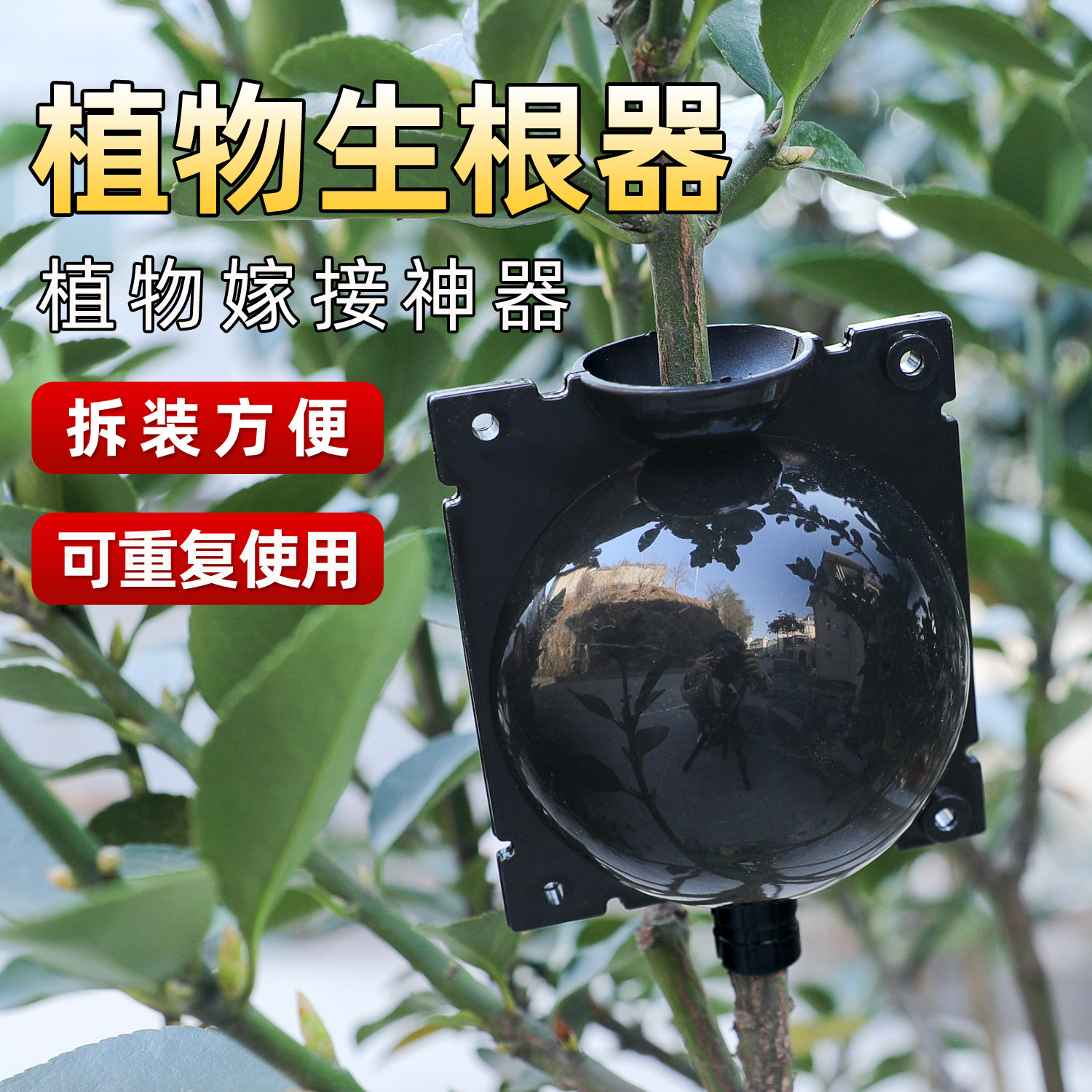 植物高压繁殖盒 园林树木嫁接生根器 高空压枝植物高压盒繁殖球