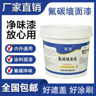 外墙氟碳漆补墙漆墙面漆涂料家用补墙膏白色漆修复墙壁内墙乳胶漆