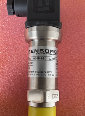 BD DX19-DMP 331P 0…16bar gauge 压力传感器现货议价