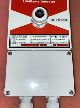 flamtron 800/24 VST-K-NTA 紫外火焰检测器现货议价