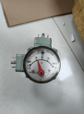 OVAL NPI45B10阀位指示器，型号NPI45B10