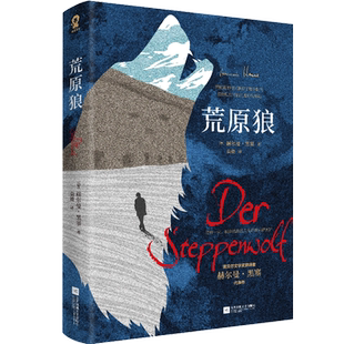 全新正版 荒原狼 诺贝尔文学奖得主黑塞自传式小说赫尔曼.黑塞著一部反对平庸的勇气诗篇 外国经典长篇小说