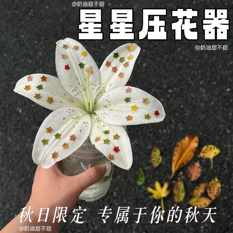 星星压花器手工diy材料包迷你便携式打孔器手账本秋日装饰打孔机