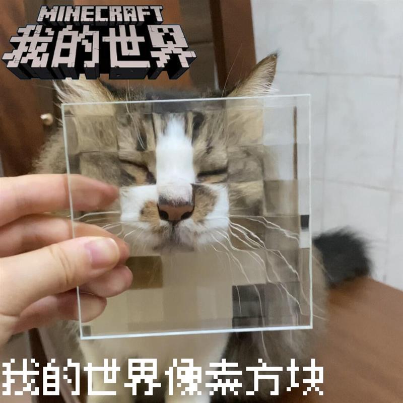 马赛克玻璃方片我的世界像素风宠物搞怪拍照道具双方格立体亚克力