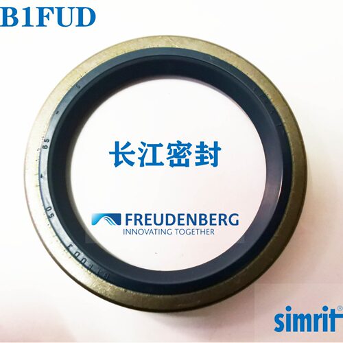 CFW B1FUD DIN3761 50-65-8 外铁壳单唇骨架油封 德国进口SIMRIT