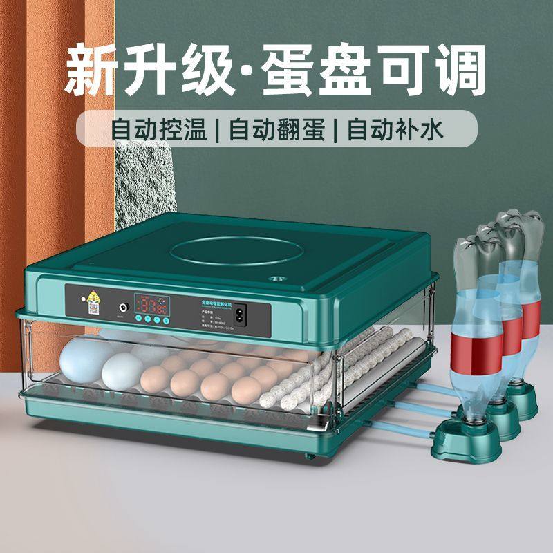 博实智能全自动孵化器家用种蛋孵化箱小鸡节能孵化机鸡蛋高成功率,五金/工具,电热工具,淘宝优惠券,粉丝福利购,淘宝优惠卷
