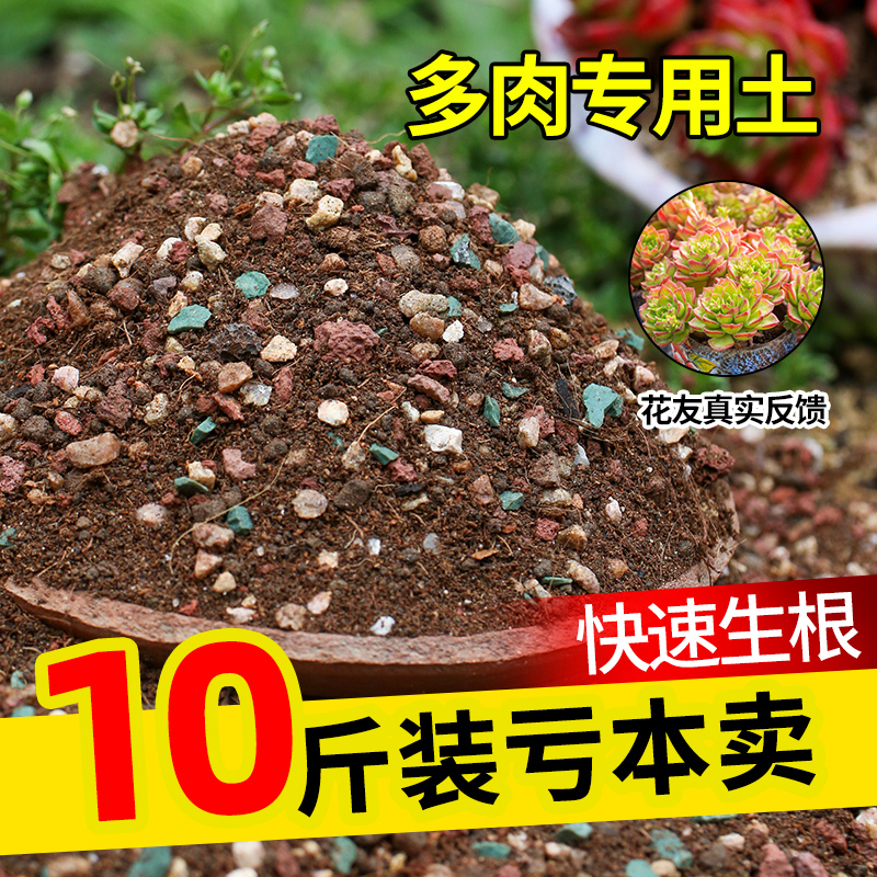 思威博多肉土专用颗粒土麦饭石泥炭种植土营养土植物进口铺面石