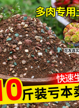 思威博多肉土专用颗粒土麦饭石泥炭种植土营养土植物进口铺面石