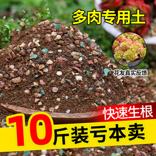 思威博多肉土专用颗粒土麦饭石泥炭种植土营养土植物进口铺面石