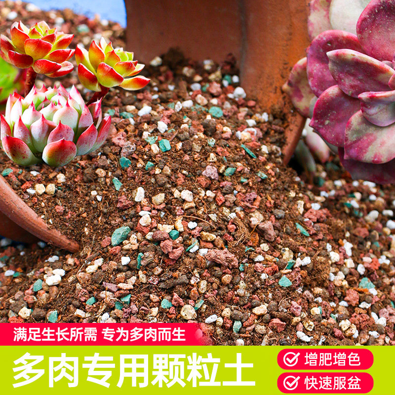 多肉专用颗粒土营养土多肉种植土壤盆栽思威博多肉专用颗粒麦饭石