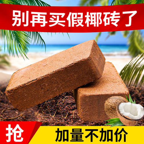 进口椰砖营养土高泡发通用种菜
