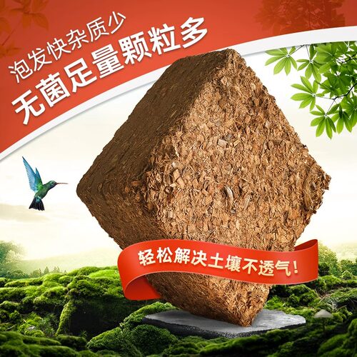 印尼进口大椰壳砖保水透气养根