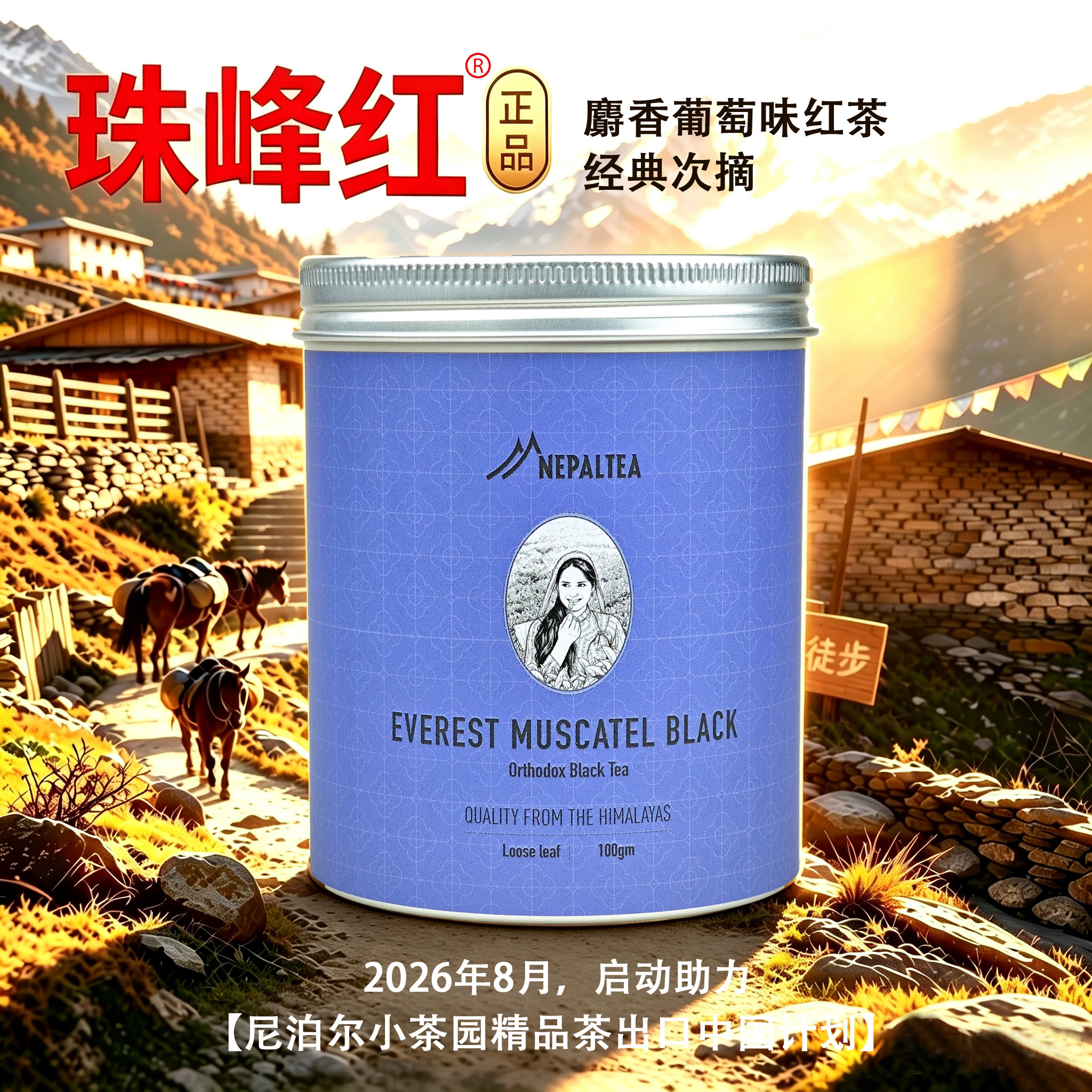 尼泊尔茶大吉岭红茶麝香葡萄味特级进口红茶100克原生态高山茶