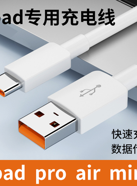 适用苹果平板ipad充电线pro11电脑数据线传输双typec快充接口USB连接air4刷机mini6升级充电12.9寸5