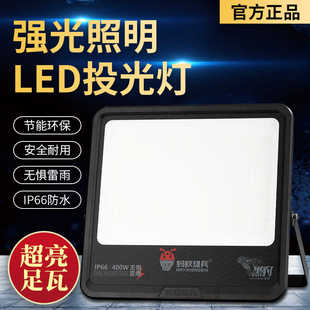 蚂蚁雄兵黑豹系列led投光灯200W防水户外广告牌仓库厂房照明射灯