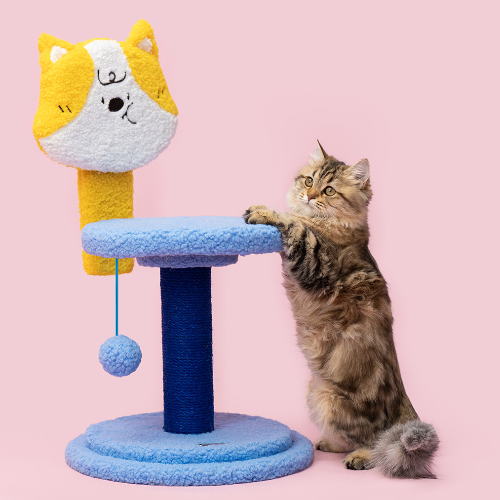 petsville旋转猫爬架耐派思维猫抓柱抓板玩具立式一体猫窝可爱
