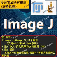 ImageJ image j/FIJI软件 mac win 灰度分析荧光计数安装包送教程