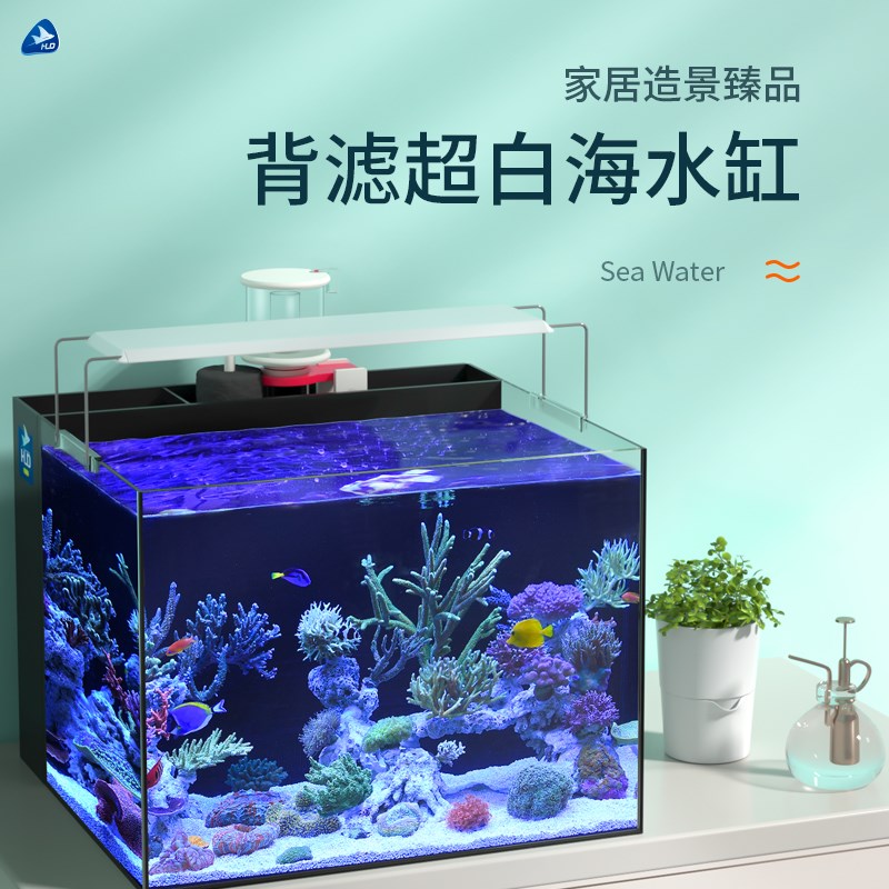 超白海水鱼缸背部过滤全套设备客厅小型活珊瑚小丑鱼玻璃背滤海缸