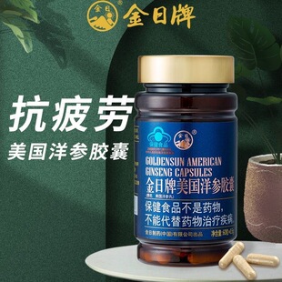 金日牌美国洋参胶囊0.5g/粒*60粒瓶抗疲劳保健品送礼西洋参