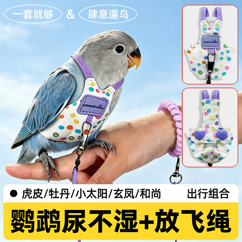 鹦鹉牵引放飞绳遛鸟神器