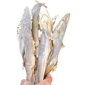 冻干鲨鱼猫咪零食含软骨素增肥发腮小鱼干磨牙洁齿宠物拌粮猫粮幼