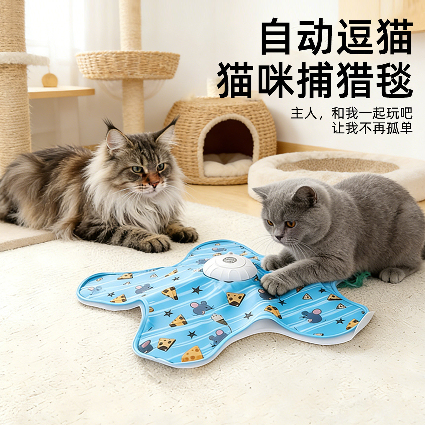 猫咪电动捕猎羽毛互动自嗨逗猫棒