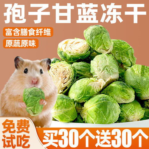 仓鼠粮食孢子甘蓝冻干