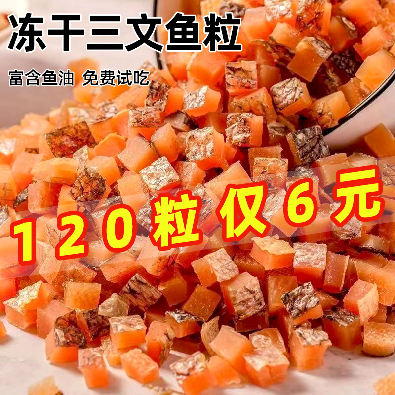 冻干三文鱼粒宠物零食猫咪