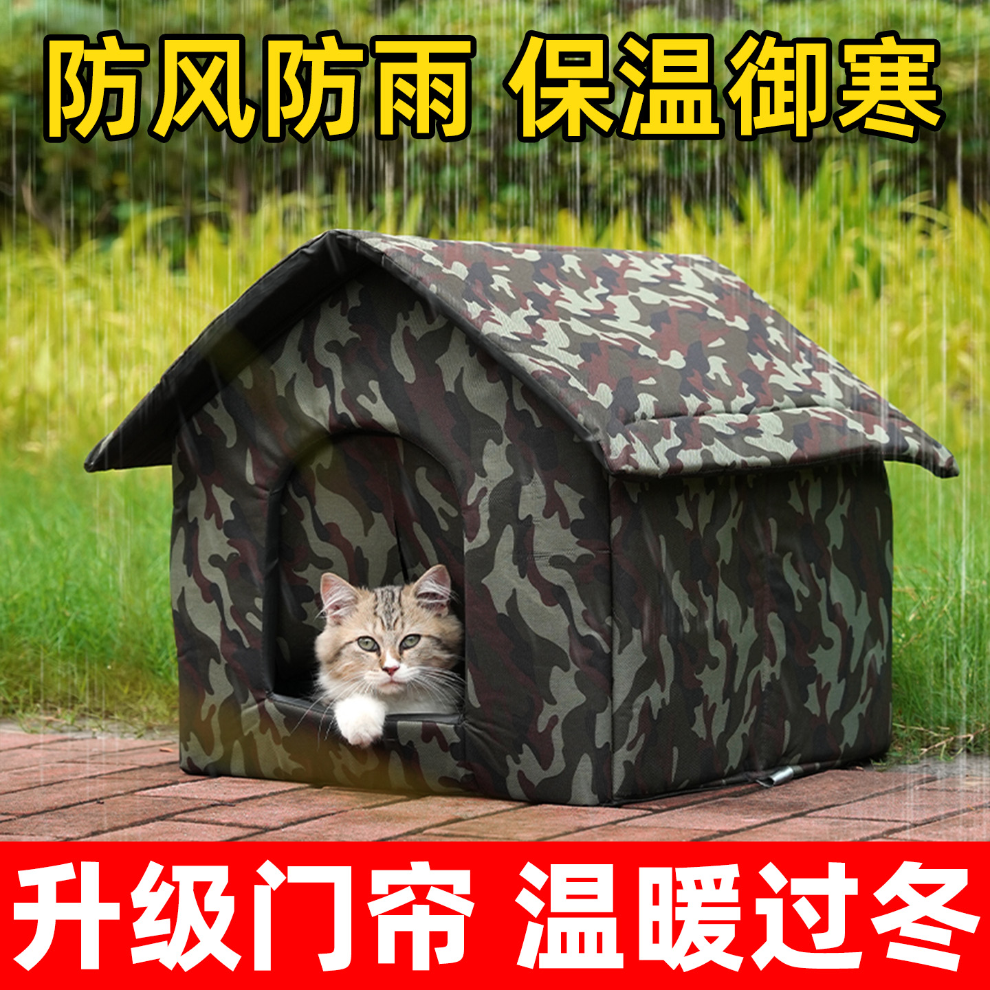 给流浪猫一个家！猫窝温暖过冬