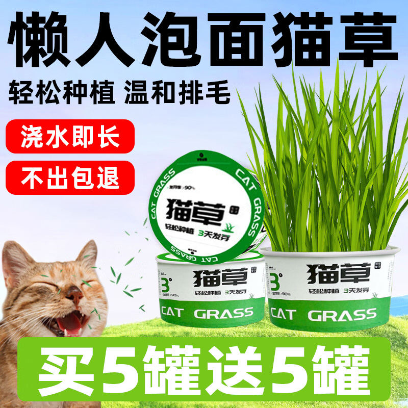 懒人猫草3秒种植种不出包退