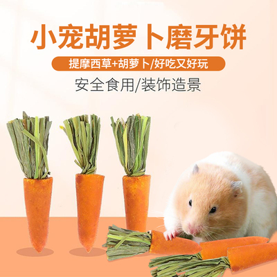 仓鼠磨牙棒胡萝卜造景零食饲料