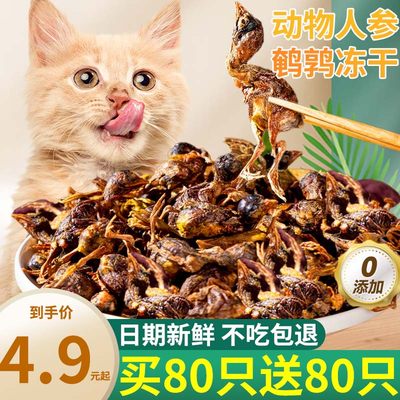 鹌鹑冻干0添加猫零食不吃包退