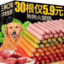 狗狗零食火腿肠金毛专用补钙宠物成幼犬低盐香肠整箱大礼包磨牙棒