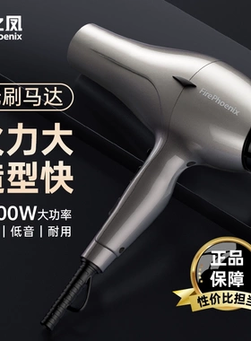 火之凤6600H+吹风机发廊理发店发型师专用大功率速干无刷电吹风筒