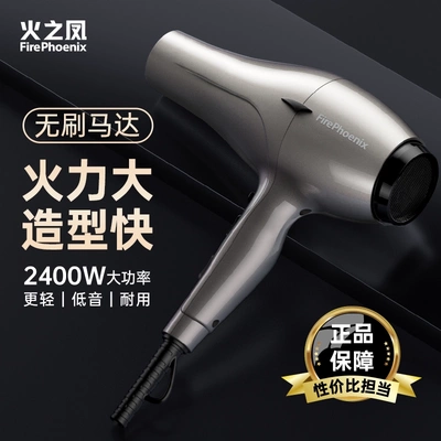 火之凤6600H+吹风机发廊理发店发型师专用大功率速干无刷电吹风筒