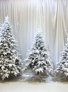 圣诞树加密白色发光仿真高级感造景摆件新款christmas tree银色款