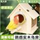 鹦鹉可视繁殖箱户外实木鸟窝牡丹孵化窝四季 躲避小木屋