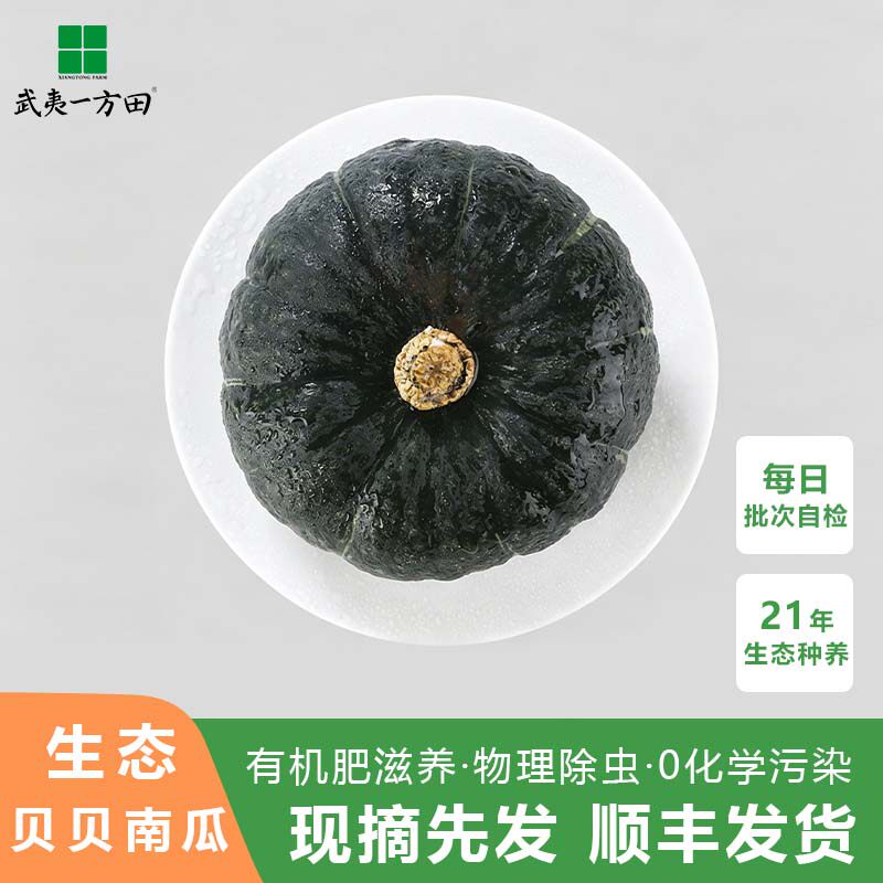 武夷一方田贝贝南瓜 有机肥种植现摘先发 当季新鲜粉糯香甜小南瓜