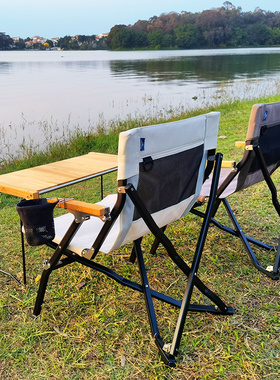 Areffa铝合金户外折叠椅海狗椅便携式椅钓鱼露营折叠沙滩椅子野餐