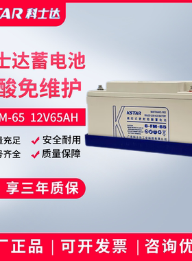 科士达蓄电池6-FM-65 12V65AH铅酸免维护UPS电源直流屏emsn专用