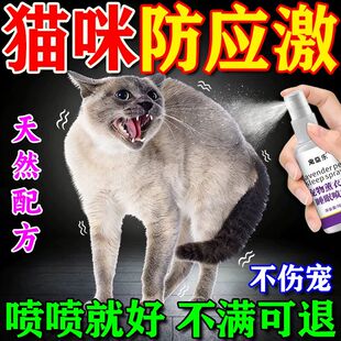 猫咪应激药舒缓情绪喷雾坐车防应激费洛蒙安抚镇定安眠快速睡喷剂